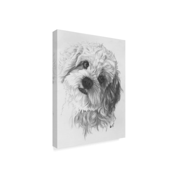 Barbara Keith 'Cavachon' Canvas Art,14x19